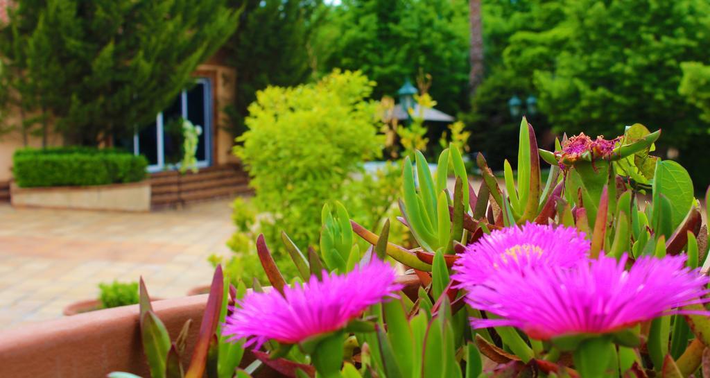 Alambique - Hotel Resort & Spa 푼다오 외부 사진